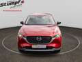 Mazda CX-5 CX-5/150PS/DIESEL/AUT/NEWGROUND/JAHRESWAGEN Rot - thumbnail 2