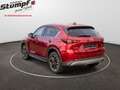Mazda CX-5 CX-5/150PS/DIESEL/AUT/NEWGROUND/JAHRESWAGEN Rot - thumbnail 7