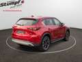 Mazda CX-5 CX-5/150PS/DIESEL/AUT/NEWGROUND/JAHRESWAGEN Rot - thumbnail 5