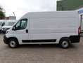 Fiat Ducato L2H2 350 Navi/Kamera/PDC/Tempomat Blanco - thumbnail 24
