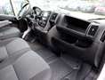 Fiat Ducato L2H2 350 Navi/Kamera/PDC/Tempomat Blanco - thumbnail 19