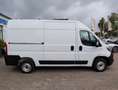 Fiat Ducato L2H2 350 Navi/Kamera/PDC/Tempomat Blanco - thumbnail 26