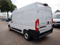 Fiat Ducato L2H2 350 Navi/Kamera/PDC/Tempomat Blanco - thumbnail 22