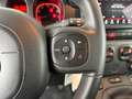 Fiat Panda Cross 1.0 FireFly Hybrid Rosso - thumbnail 12