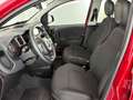Fiat Panda Cross 1.0 FireFly Hybrid Rosso - thumbnail 9