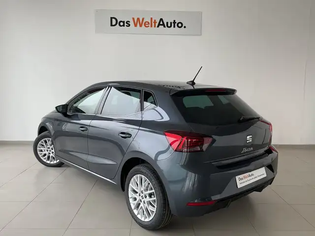Seat Ibiza view 2