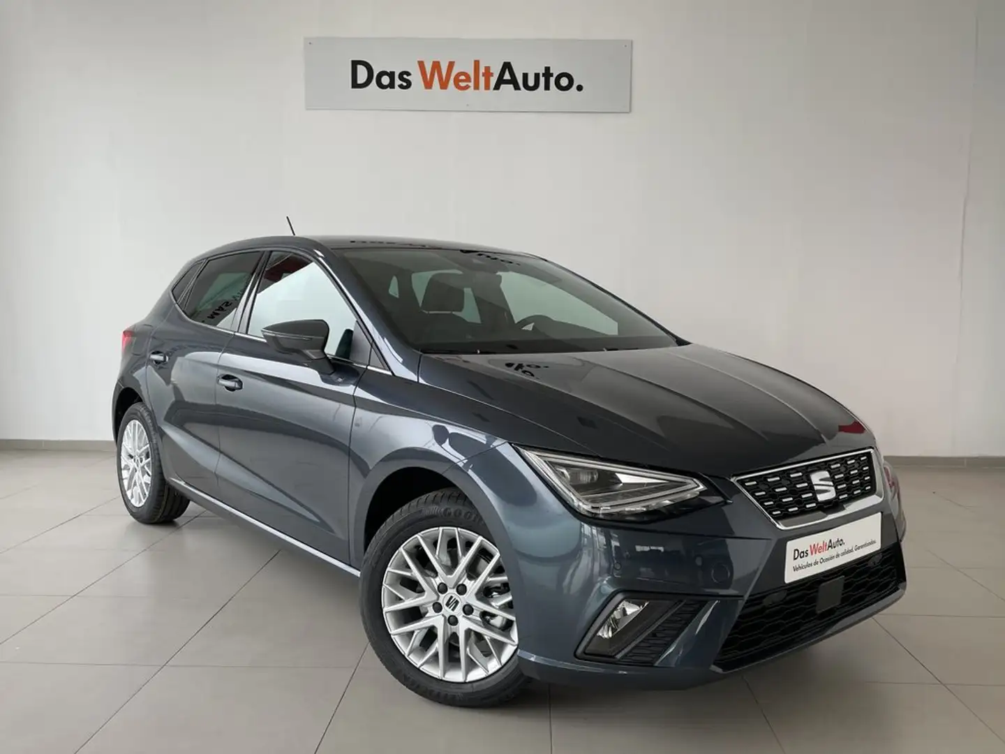 SEAT Ibiza 1.0 TSI S&S Xcellence 115 Gris - 1