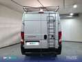 Fiat Ducato 33 L2H2 BlueHDi 103kW (140CV) - Blanco - thumbnail 5