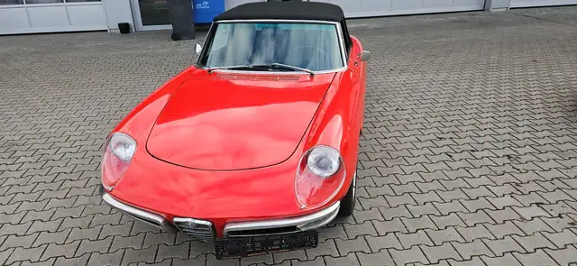 Alfa Romeo Spider Duetto