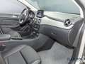 Mercedes-Benz B 200 B 200 Urban Navi/LED/PDC/Kamera/Sitzhzg./Tempom. Silber - thumbnail 15