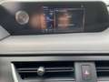 Lexus UX 250h Style ACC FLA SpurH LM LED 2xKlima AUT Grijs - thumbnail 12