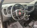 Fiat Panda 1.2 Easy Gri - thumbnail 19