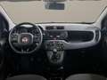 Fiat Panda 1.2 Easy Gri - thumbnail 14