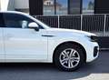 Volkswagen Touareg 4Motion V6 TDI SCR R-Line Aut.; Kamera, AHK, Lu... Weiß - thumbnail 10
