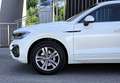 Volkswagen Touareg 4Motion V6 TDI SCR R-Line Aut.; Kamera, AHK, Lu... Weiß - thumbnail 15