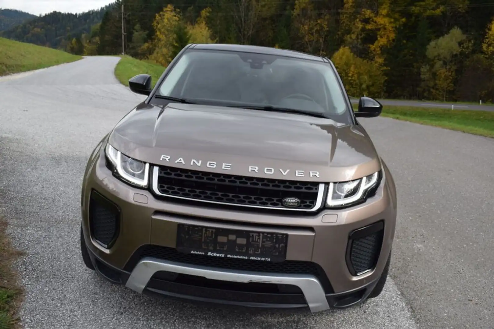 Land Rover Range Rover Evoque SE Dynamic 2,0 mit garantie top Grau - 1