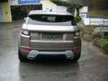 Land Rover Range Rover Evoque SE Dynamic 2,0 eD4 e-Capability Grau - thumbnail 9
