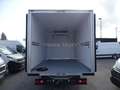 Iveco Daily 35 C16 ISOTERMICO -20° PRONTA CONSEGNA Bianco - thumbnail 13
