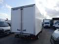 Iveco Daily 35 C16 ISOTERMICO -20° PRONTA CONSEGNA Bianco - thumbnail 9
