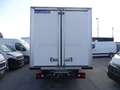 Iveco Daily 35 C16 ISOTERMICO -20° PRONTA CONSEGNA Bianco - thumbnail 10