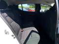 Dacia Sandero Stepway Essential TCe 90 Weiß - thumbnail 8