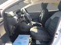 Dacia Sandero Stepway Essential TCe 90 Weiß - thumbnail 12