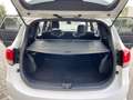 Kia Carens 1.7 d. 7 Posti-Automatica Unicoproprietario EU 6b Bianco - thumbnail 14
