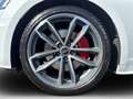 Audi A5 Cabriolet 45 TFSI quattro S tronic S line El. Verd Weiß - thumbnail 6