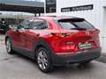 Mazda CX-30 G122 Comfort+/SO/ST Aut. Rot - thumbnail 5