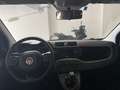 Fiat Panda Panda 1.2 Pop s Argento - thumbnail 11