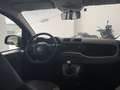 Fiat Panda Panda 1.2 Pop s Argento - thumbnail 13