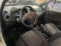 Fiat Grande Punto 1.2  5 porte Bianco - thumbnail 3