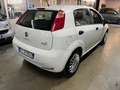 Fiat Grande Punto 1.2  5 porte Bianco - thumbnail 2