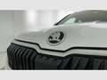 Skoda Karoq 2.0TDI AdBlue Ambition 4x4 DSG 110kW Blanco - thumbnail 50