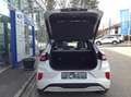 Ford Puma 1,0 EcoBoost Hybrid Sound Edition Weiß - thumbnail 7