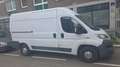 Fiat Ducato Ducato 33 L2H2 130 GR-Panorama GR-Panorama Weiß - thumbnail 7