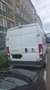 Fiat Ducato Ducato 33 L2H2 130 GR-Panorama GR-Panorama Weiß - thumbnail 2