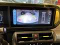 Fiat Grande Panda Grande Panda 1.2 Hybrid 110 CV S&S La Prima Bronzo - thumbnail 9