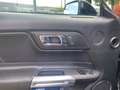 Ford Mustang Fastback 2.3 Aut.Ecoboost Allestim. GT350 317 CV Nero - thumbnail 14
