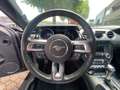 Ford Mustang Fastback 2.3 Aut.Ecoboost Allestim. GT350 317 CV Noir - thumbnail 12
