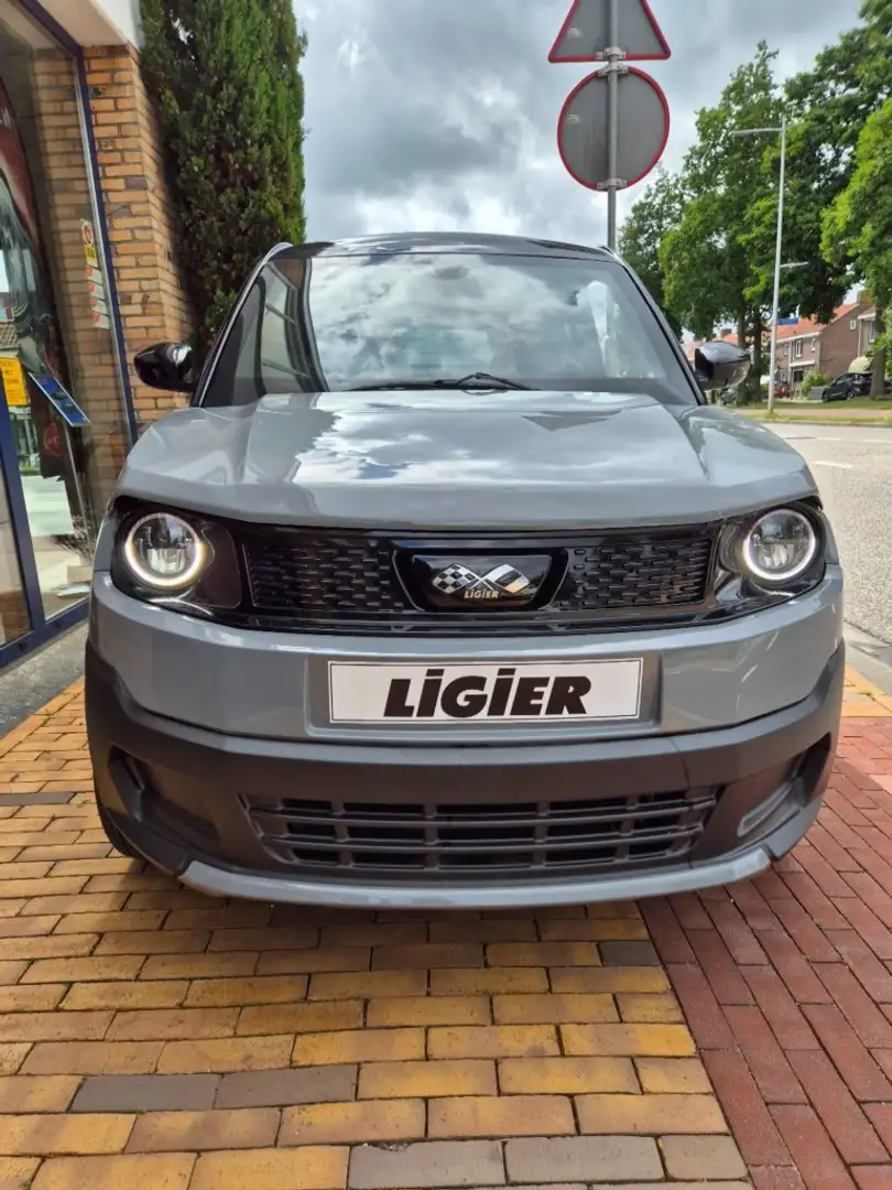Ligier Myli R.EBEL EDITION ELECTRISCH Сірий - 2