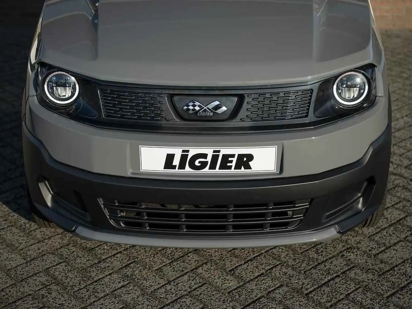 Ligier Myli R.EBEL EDITION ELECTRISCH Gris - 2