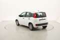 Fiat Panda Easy 1.2 Benzina 69CV Bianco - thumbnail 3