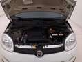 Fiat Panda Easy 1.2 Benzina 69CV Bianco - thumbnail 13