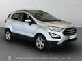 Ford EcoSport - EcoSport 1.5 ecoblue Business awd s&s 125cv my19 Argent - thumbnail 3