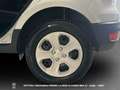 Ford EcoSport - EcoSport 1.5 ecoblue Business awd s&s 125cv my19 Argent - thumbnail 12