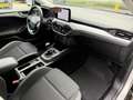 Ford Focus Wagon 1.0 EcoBoost Trend Edition Business|CRUISE|C Gris - thumbnail 22