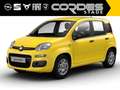 Fiat New Panda 1.0 Hybrid 48kW (65PS) Manuell ICON Musikstreaming Amarillo - thumbnail 2