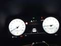 Hyundai i30 1,0 TGDI Comfort Line Grün - thumbnail 11