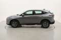 Nissan Qashqai Hybrid Business Xtronic 1.3 Mild Hybrid 158CV Grigio - thumbnail 2